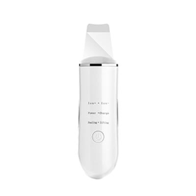 Ultrasonic ion cleansing instrument